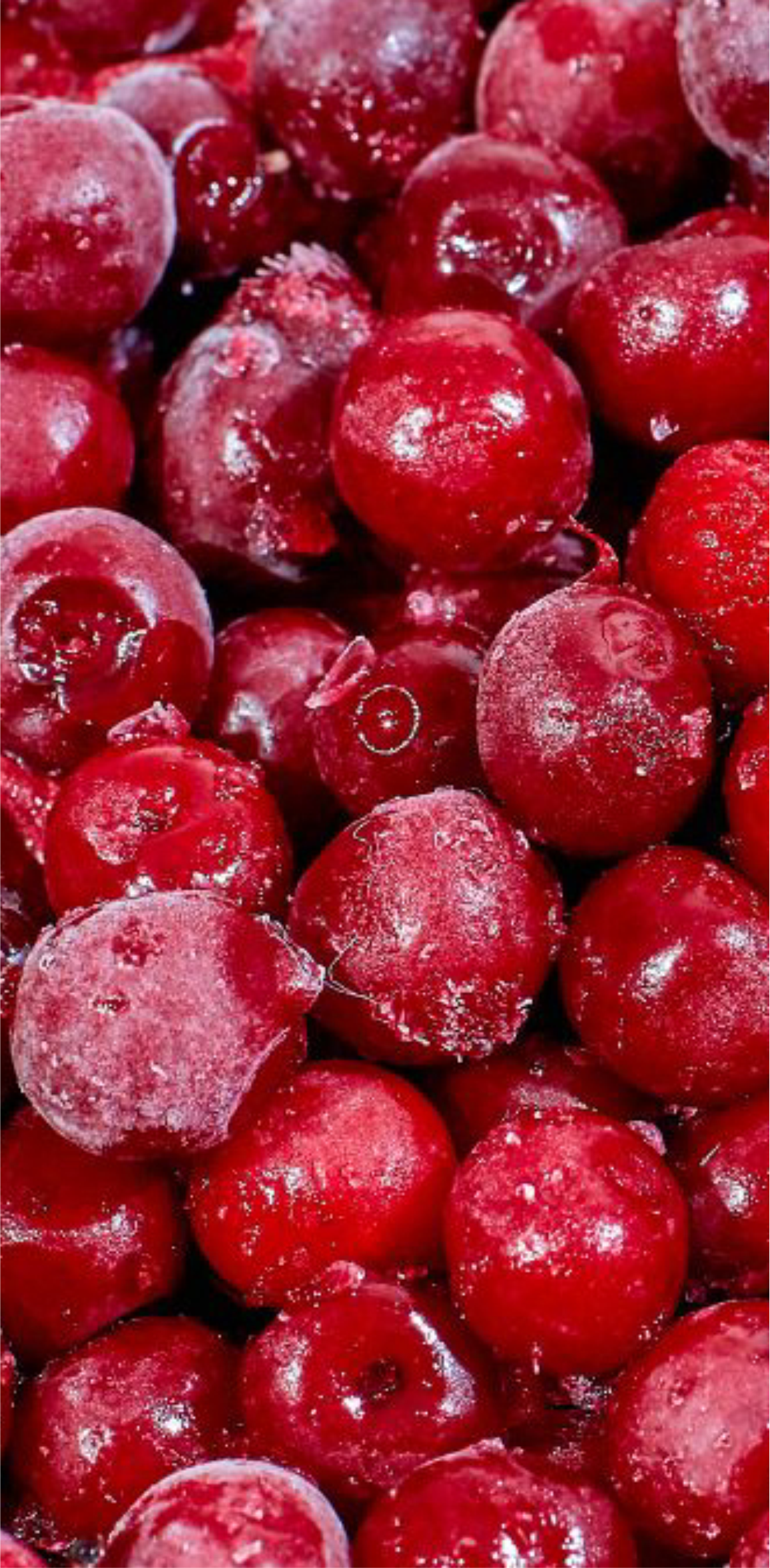 IQF Sour Cherries
