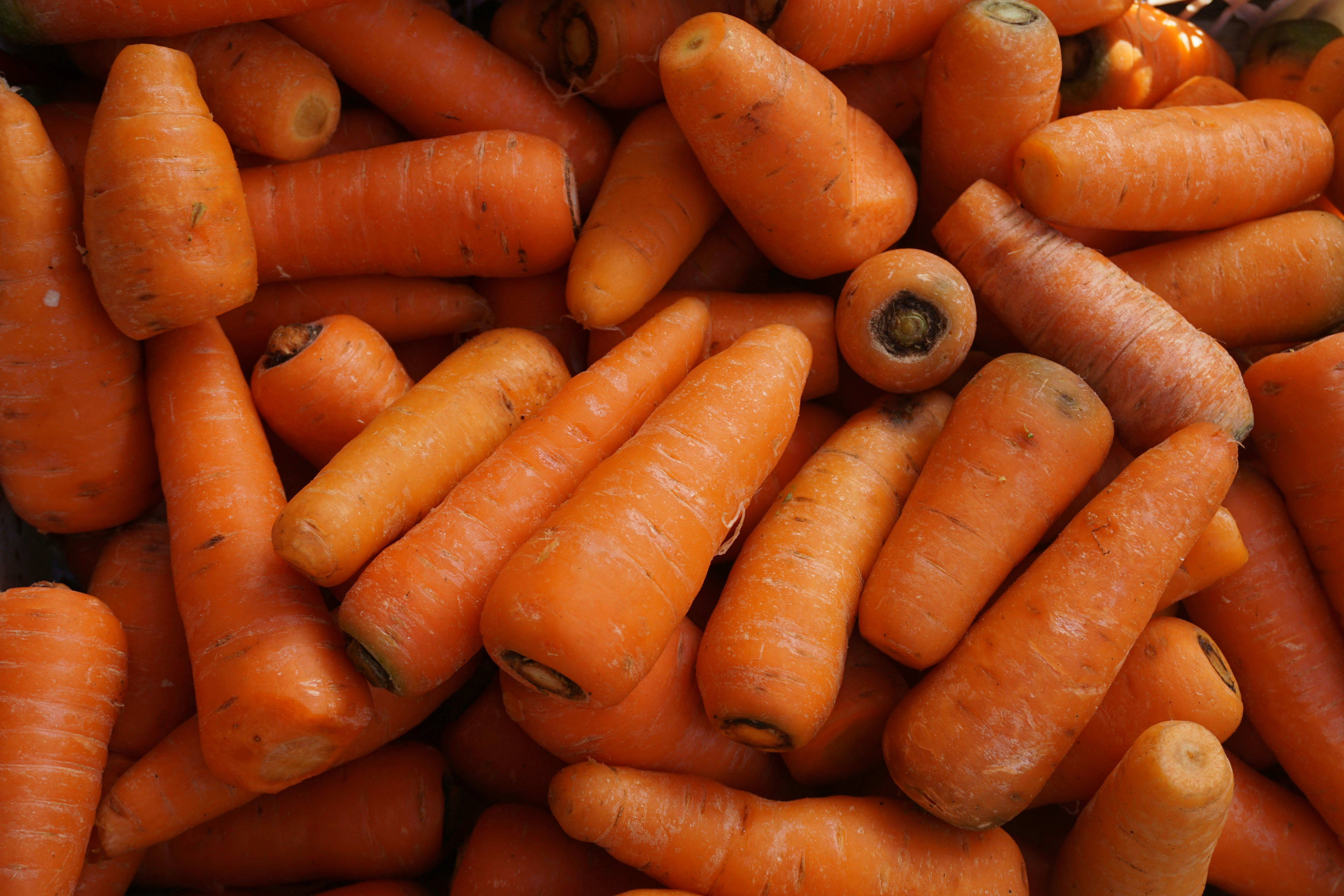Fresh Uzbek Carrots