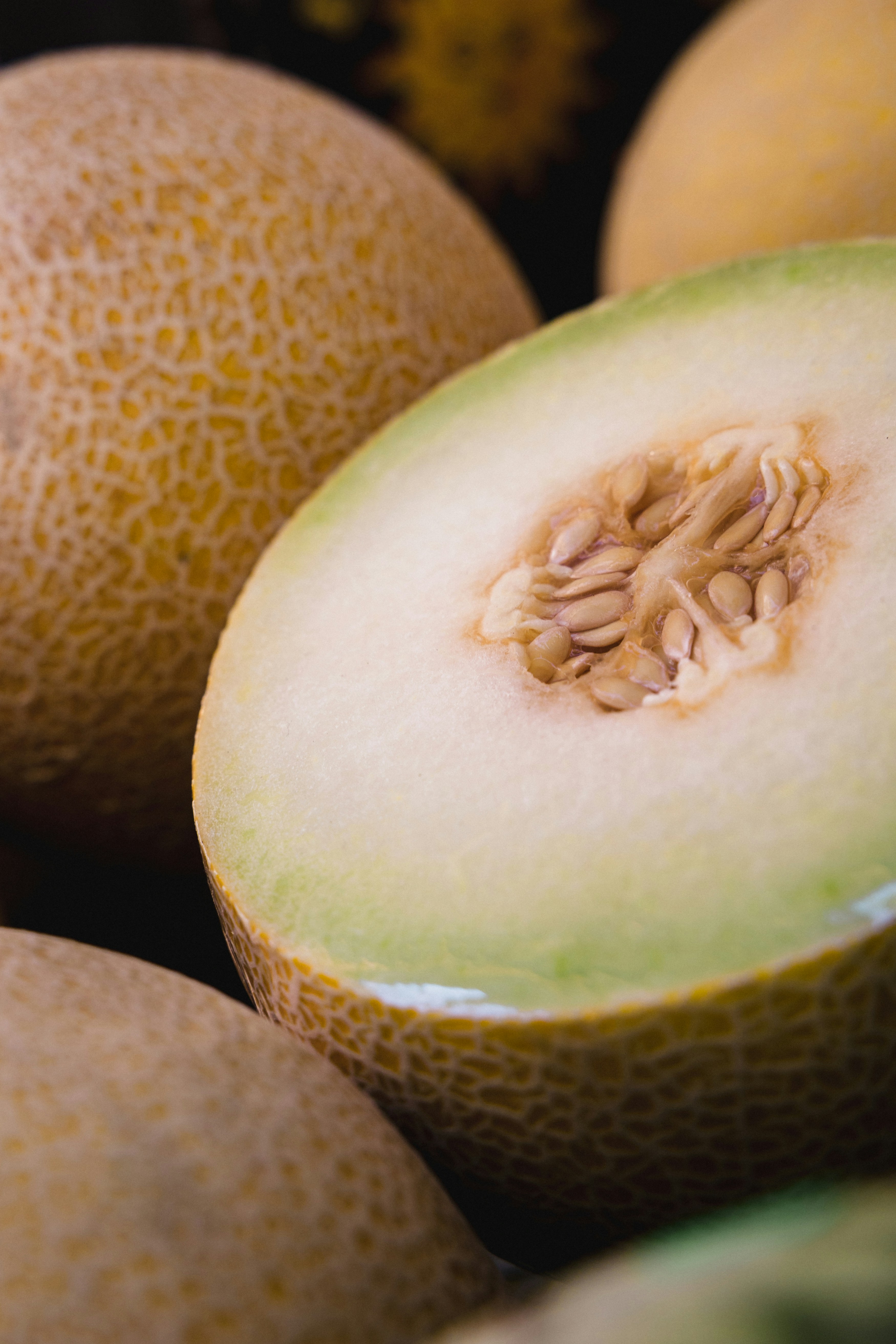 Uzbek Melon