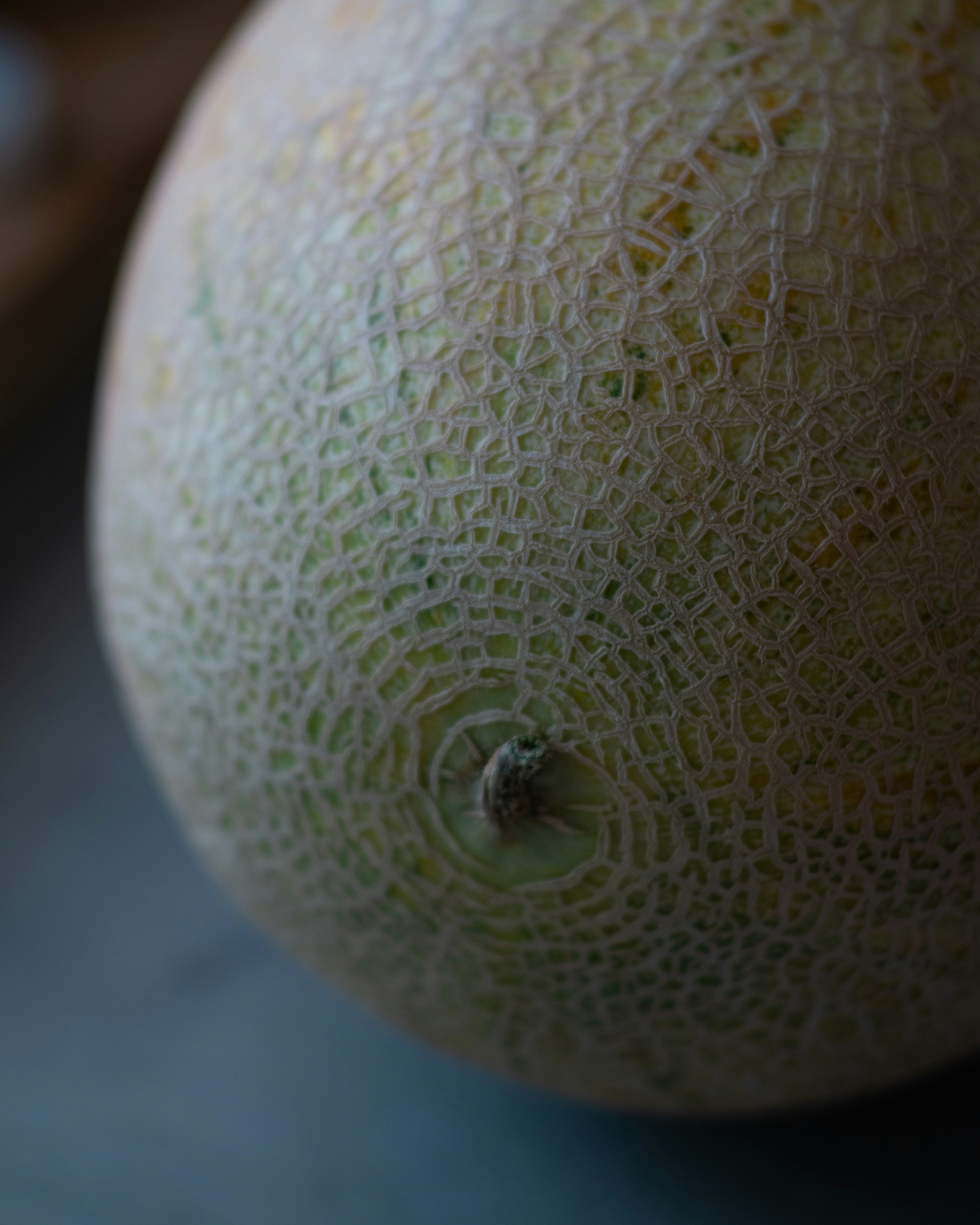 Uzbek Melon
