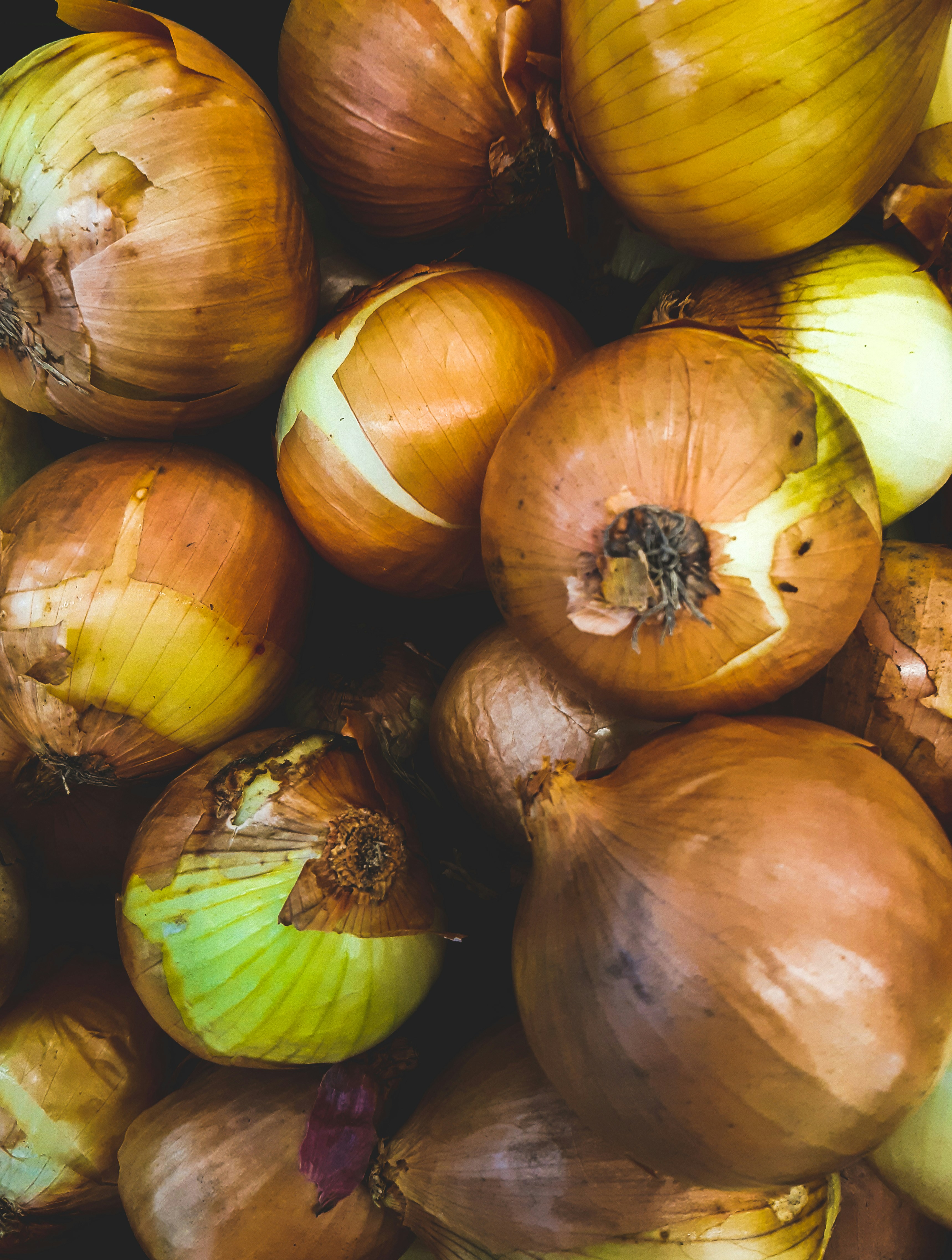 Fresh Uzbek Onions
