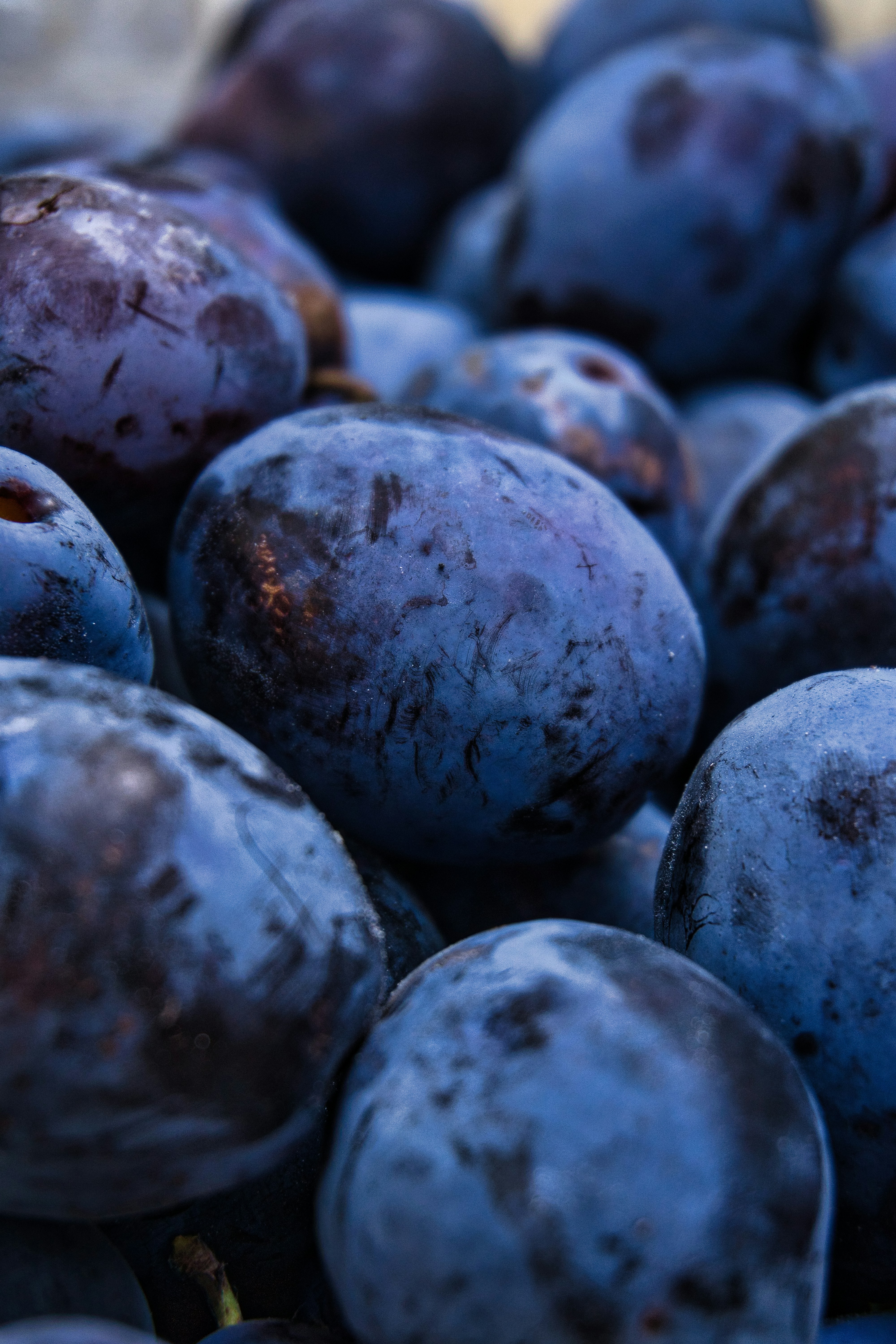 IQF Plum Halves