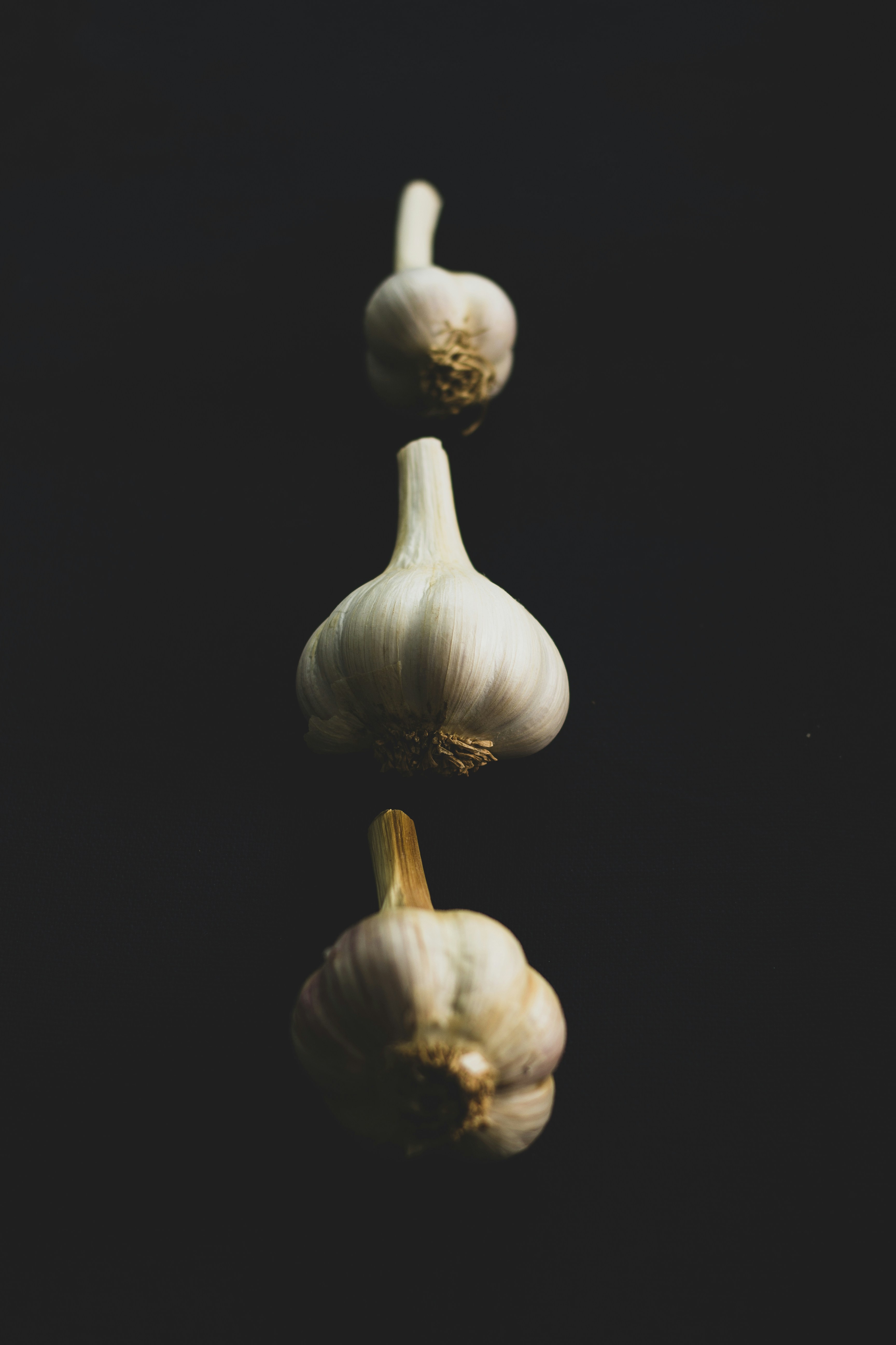 Fresh Garlic